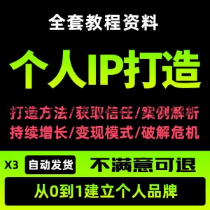 个人IP打造教程 从0到1建立个人品牌 定位变现运营全套资料|豌豆工具箱