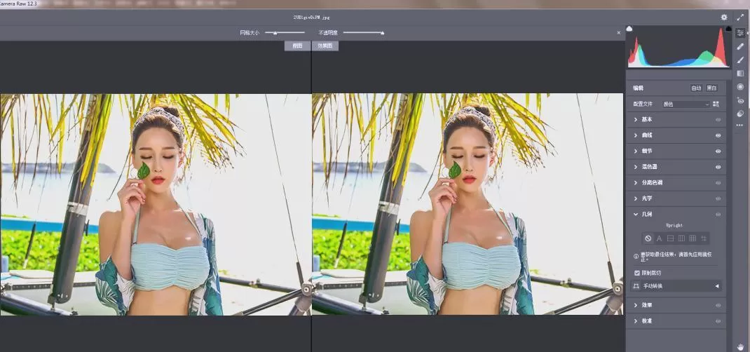 RAW处理Adobe Camera Raw v18.2.0中文版|豌豆工具箱
